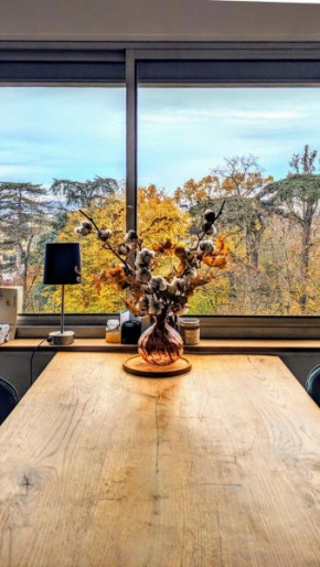 T3 lumineux avec vue panoramique - Point du Jour